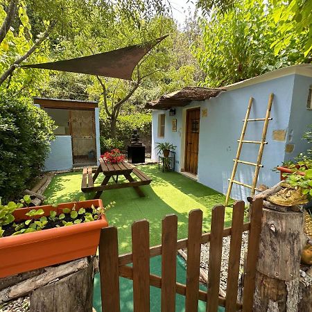 فندق New Paradaise Art Gallery Xàtiva المظهر الخارجي الصورة