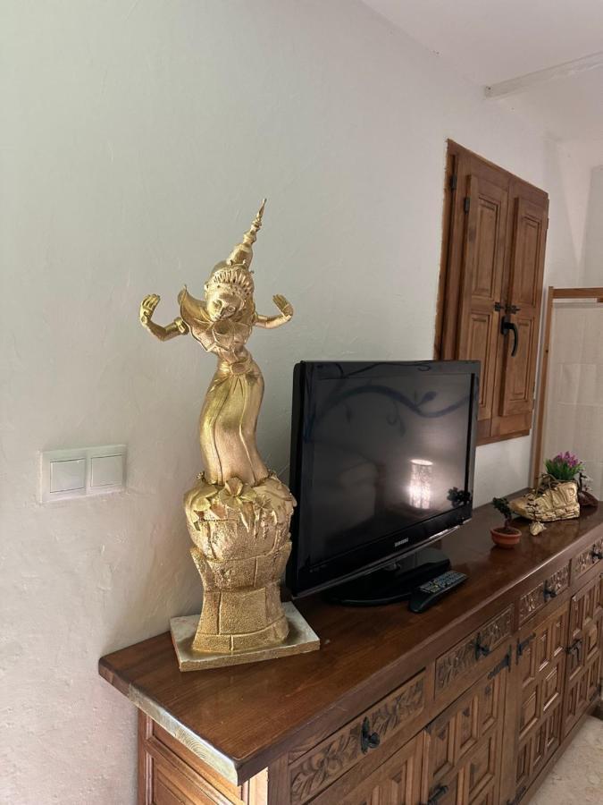 فندق New Paradaise Art Gallery Xàtiva المظهر الخارجي الصورة