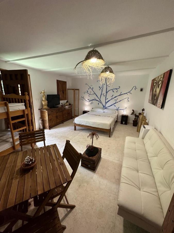 فندق New Paradaise Art Gallery Xàtiva المظهر الخارجي الصورة